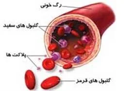 پلاکت بدن انسان
