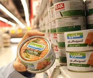 تن ماهی مکنزی