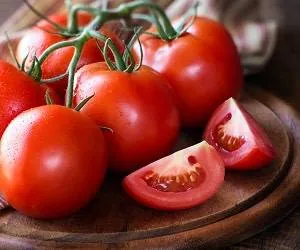 گوجه فرنگی