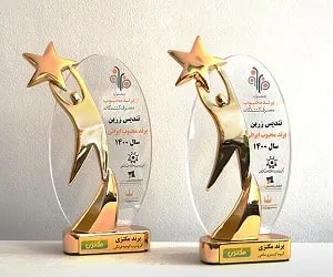 مکنزی