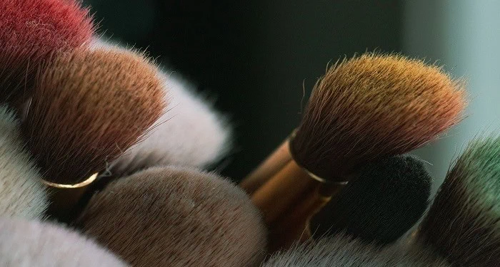 براش آرایشی