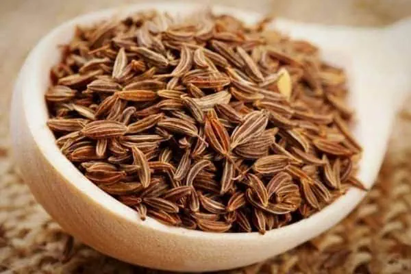 زنیان