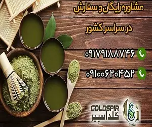 جلبک اسپیرولینا