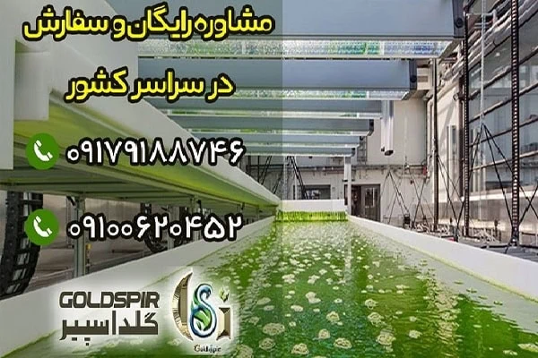مجموعه گلد اسپیر