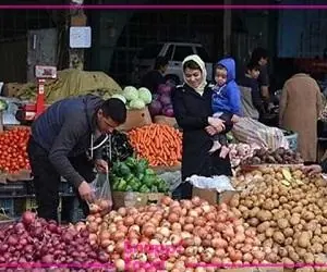 میوه تره باز