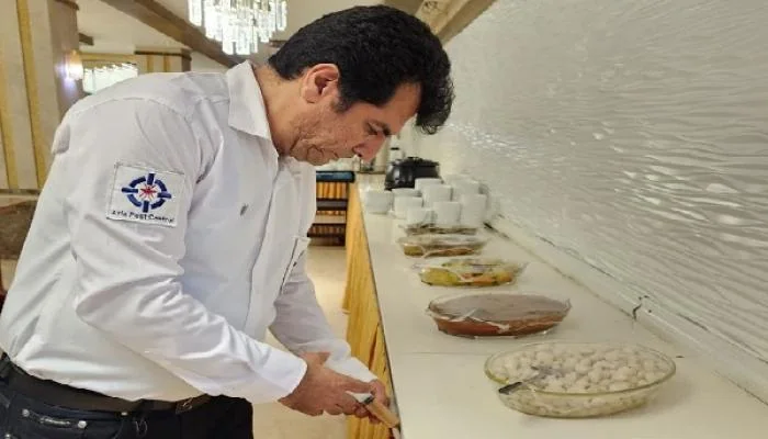 سمپاشی حشرات