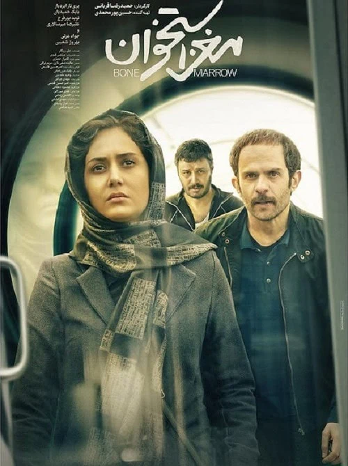 مغز استخوان