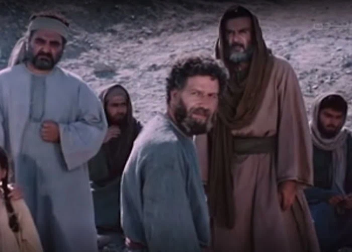 کارگردانی داوو شیخ