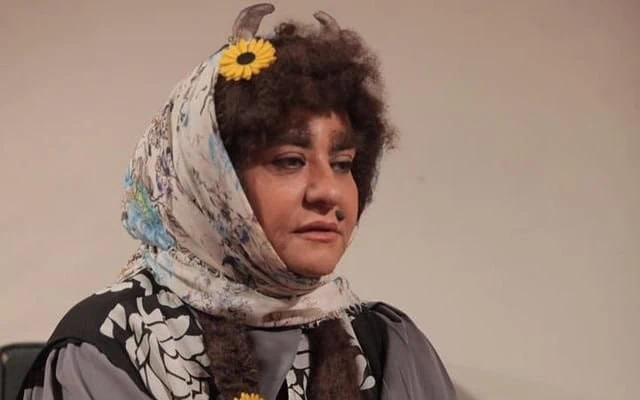 رابعه اسکویی آرزوی اسب چوبی