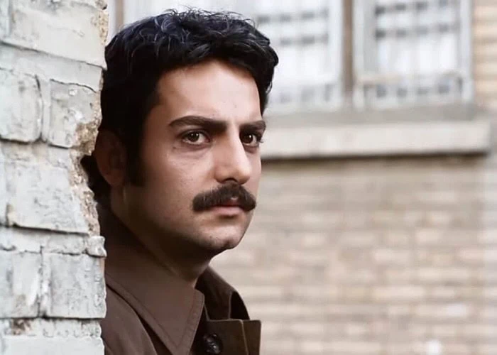 حامد کمیلی در سریال پروانه