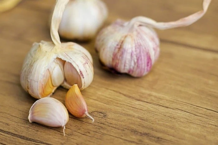 سیر با معده خالی