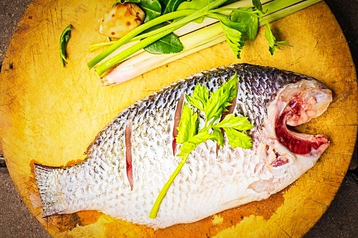 فواید ماهی fish