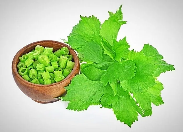 تداخل دارویی کرفس