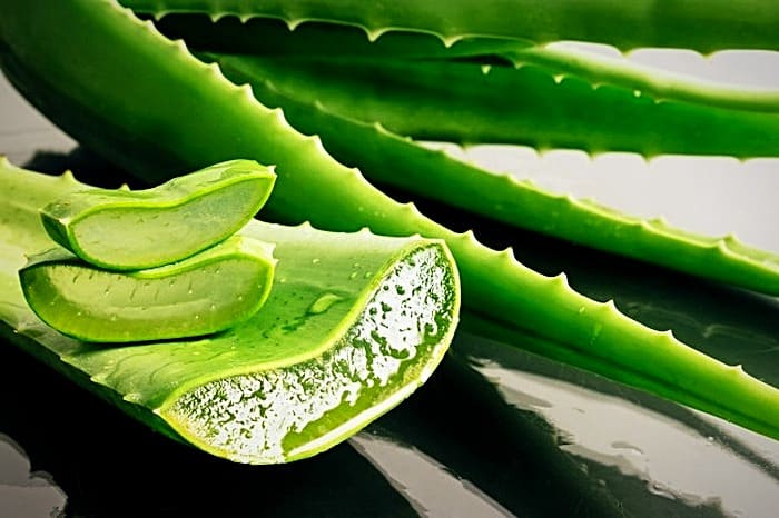 Aloevera