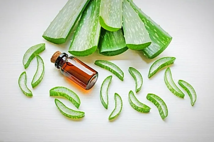 روغن درخت چای و آلوئه ورا