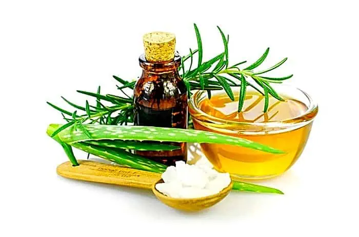 عسل و آلوئه ورا