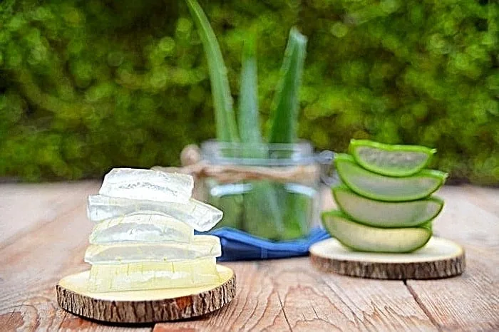 داشتن پوستی صاف و تمیز با آلوئه ورا