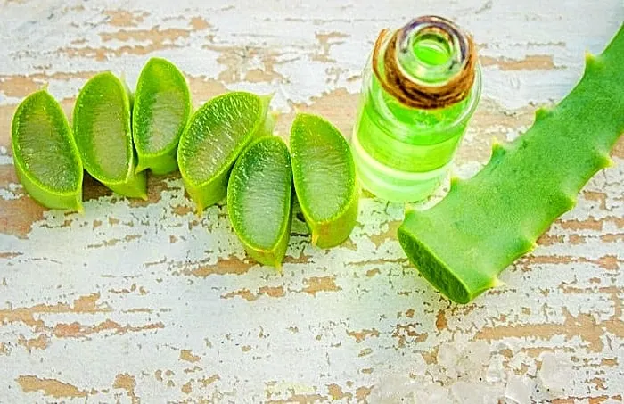 مکعب آلوئه ورا