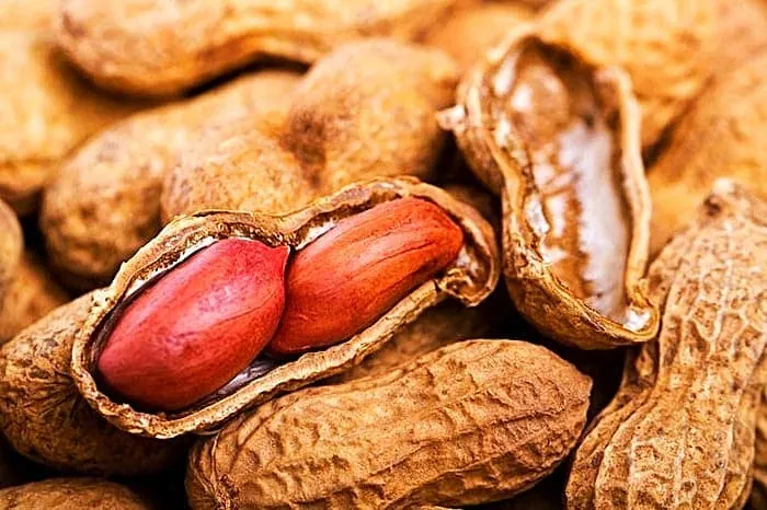 رژیم غذایی غنی از منیزیم 