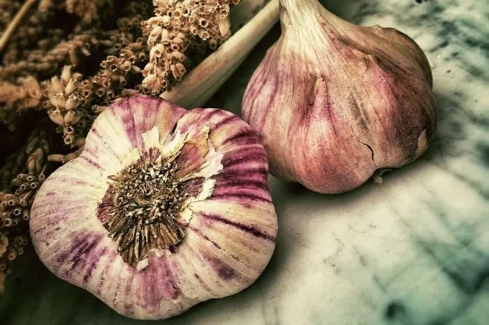 لاغری با سیر