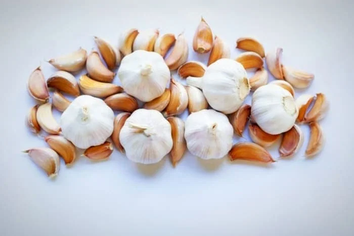 سیر برای نیش