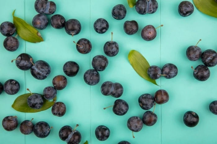 acai berry