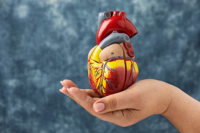 خواص سماق چیست