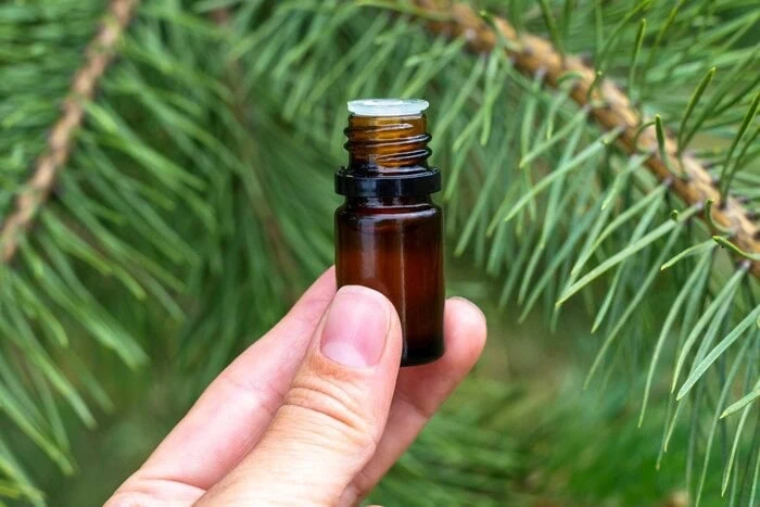 ماندگاری روغن خراطین