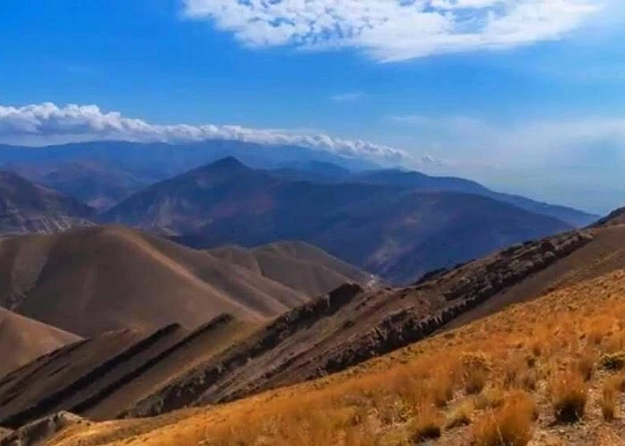 پارک جنگلی لتمان