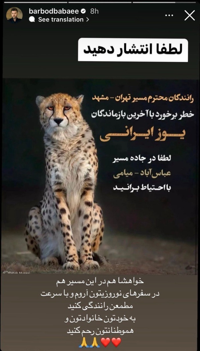 باربد بابایی