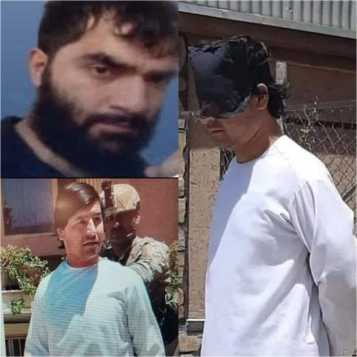 دستگیری داعش