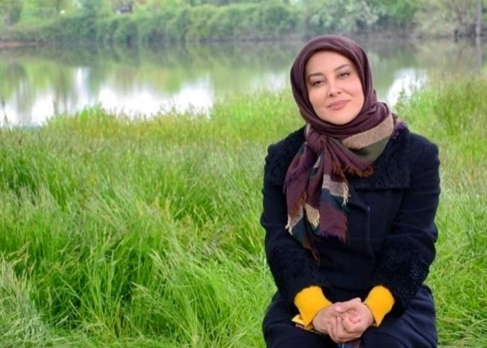 آشا محرابی کلبه ایی در مه