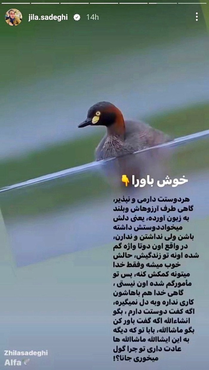 ژیلا صادقی