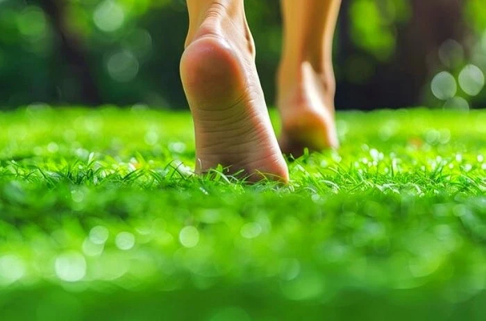 راه رفتن روی چمن