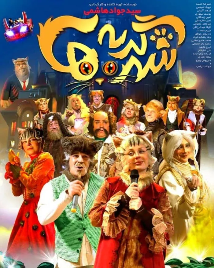 سیدجواد هاشمی شهر گربه ها