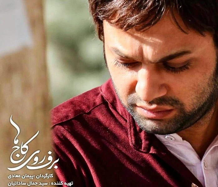 صابر ابر در برف روی کاج ها