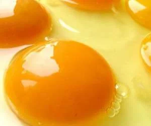 خواص زرده تخم مرغ