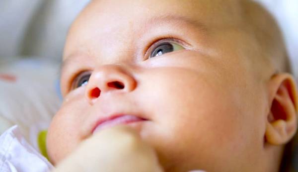 شیرخشت و ترنجبین برای زردی نوزاد