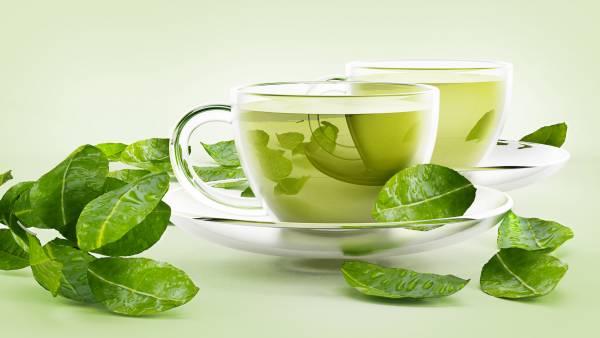 چای سبز مفید بدن