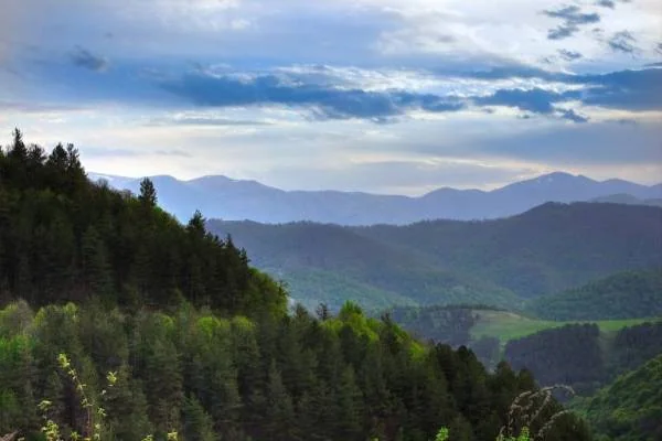 پارک ملی دلیجان