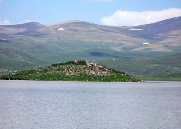 دریاچه آرپی ارمنستان 