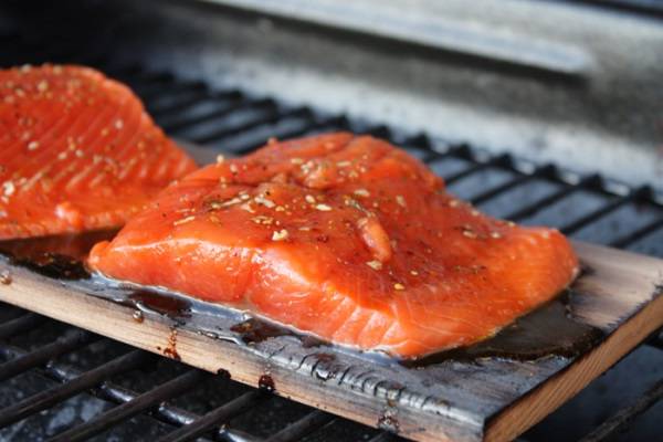 ماهی سالمون مفید