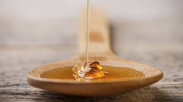 عسل برای درمان موخوره