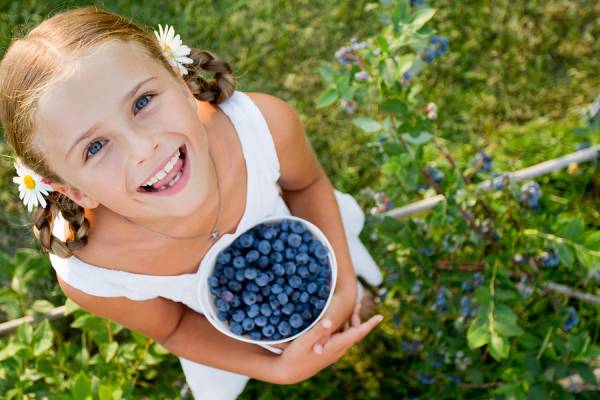 5 غذا برای تمرکز بهتر کودکان 