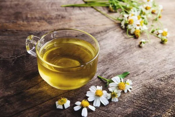 چای بابونه