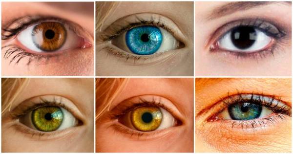 انواع رنگ چشم