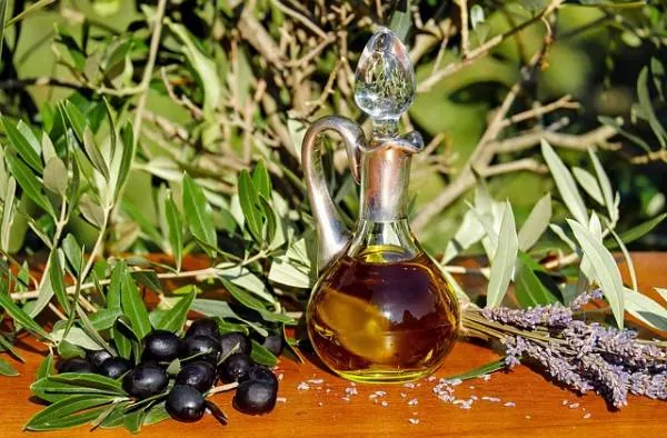 فواید درمانی روغن زیتون