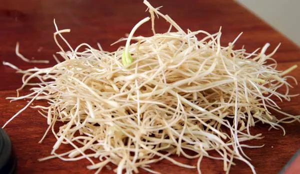 ریشه سویا