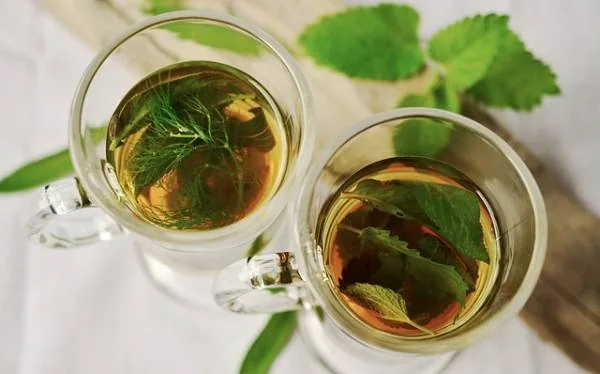 گیاهان دارویی