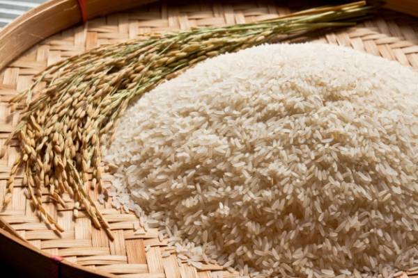 برنج مضر پریود